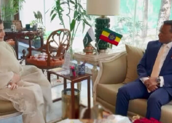 مریم نواز سے ایتھوپیا کے سفیر کی ملاقات، تعلقات مضبوط بنانے پر زور