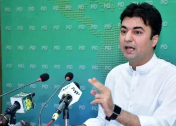 مراد سعید کا سوات میں احتجاجی مارچ کا یکطرفہ اعلان ، پی ٹی آئی سیاسی کمیٹی کے شدید تحفظات