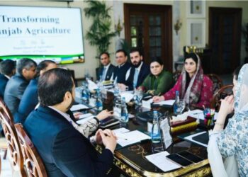 پرائیویٹ سیکٹر کے ذریعے گندم کی خریداری کا فیصلہ، کسانوں کےمفاد کا ہر صورت تحفظ کیا جائے گا: مریم نواز