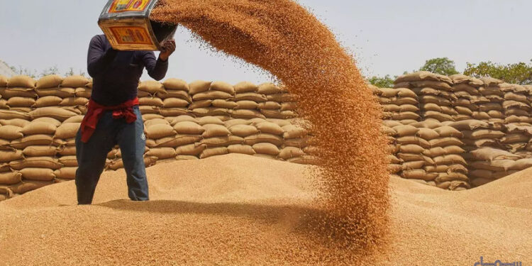 گندم آٹا مارکیٹ کریش کرگئی، قیمت میں نمایاں کمی