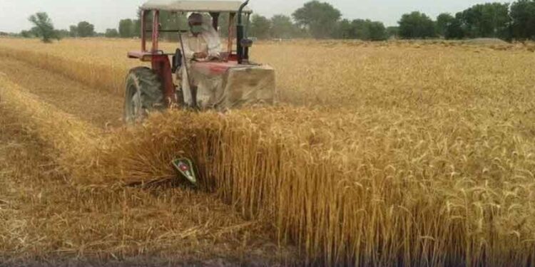 پنجاب میں گندم خریداری پلان پر اہم اجلاس، کسانوں کو بہترین نرخ دلوانے کیلئے عملی اقدامات کا فیصلہ
