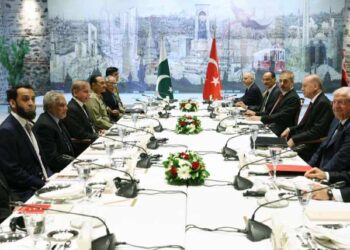 وزیراعظم کی وفد کے ہمراہ ترک صدر سے ملاقات، غیر متزلزل حمایت پراظہار تشکر