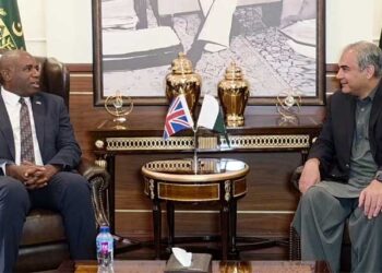 محسن نقوی سے برطانوی وزیر خارجہ کی ملاقات، دوطرفہ تعاون پر تبادلہ خیال