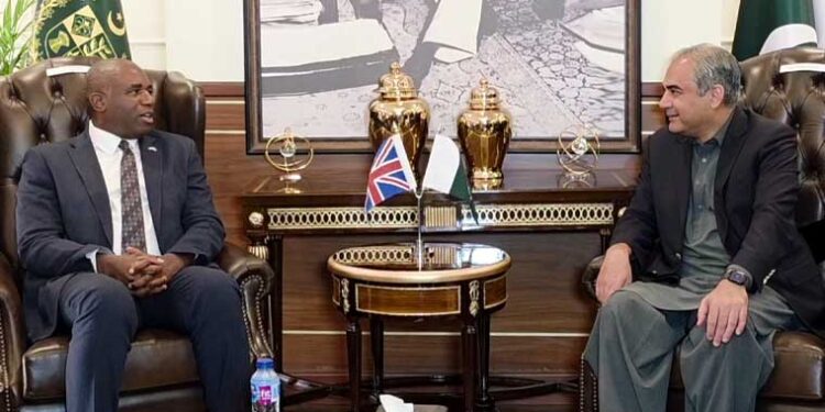 محسن نقوی سے برطانوی وزیر خارجہ کی ملاقات، دوطرفہ تعاون پر تبادلہ خیال