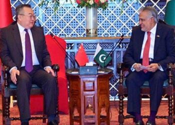 اسحاق ڈار کی چینی وزیر سے ملاقات، اسٹریٹجک تعاون مضبوط بنانے پر اتفاق