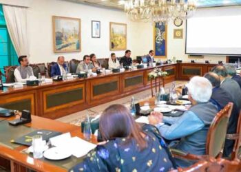 اسحاق ڈار سے سفارتی وفود کی ملاقات، دنیا میں پاکستان کا موقف اجاگر کرنے کا عزم