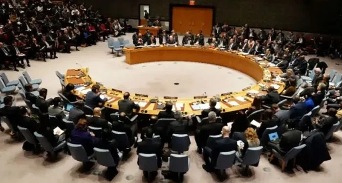 پاک بھارت کشیدگی کم کرنے کیلئے اجلاس بلایا جا سکتا ہے: صدر سلامتی کونسل