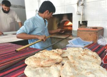 وزیراعلیٰ پنجاب کا آٹے کے نئے نرخ کے مطابق روٹی کی قیمت مقرر کرنے کا حکم