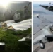 پاک فضائیہ کی کارروائی میں 3 جدید رافیل طیارے تباہ، فرانسیسی کمپنی کے شیئرز گرگئے