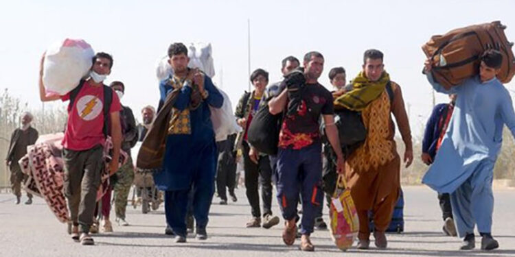 ملکی سیکیورٹی صورتحال کے پیش نظر پنجاب سےغیرملکیوں کے انخلاء کا عمل تیز