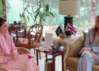 مریم نواز سے برطانوی ہائی کمشنر کی ملاقات، باہمی دلچسپی کے امور پر گفتگو