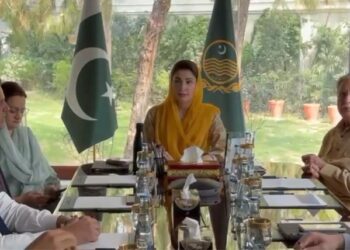 پنجاب: ای چارجنگ سٹیشن کیلئے سولر پاور سسٹم نصب کرنے کا فیصلہ