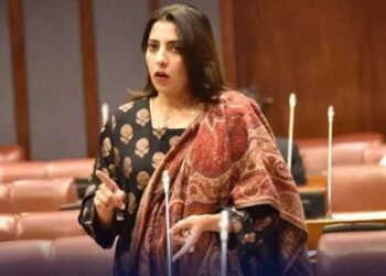 سینیٹر پلوشہ خان کی بابری مسجد سے متعلق تقریر نے بھارت میں ہلچل مچا دی