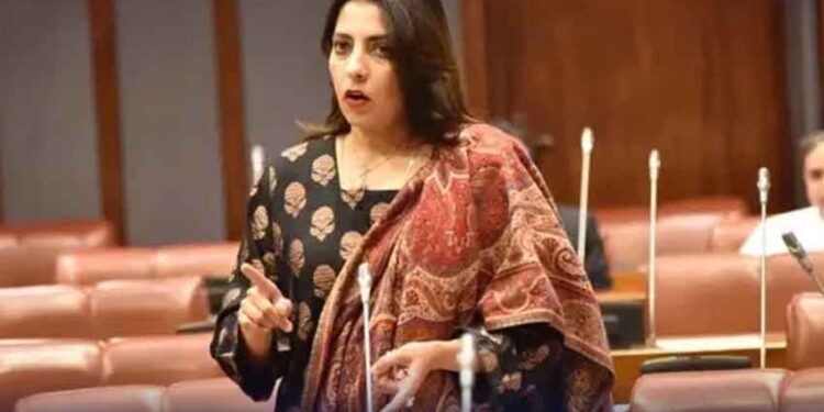 سینیٹر پلوشہ خان کی بابری مسجد سے متعلق تقریر نے بھارت میں ہلچل مچا دی