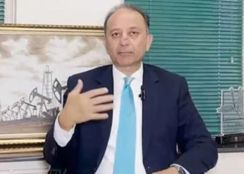 جنگ میں بھارت کا تماشادنیا نے دیکھا، رافیل ایسے گرےجیسے چڑیا گرتی ہیں: مصدق ملک