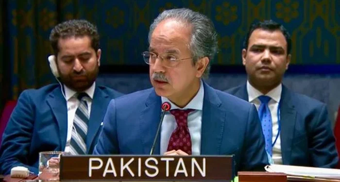 غزہ جنگ بندی کی قرارداد مسترد ہونا عالمی انسانی قوانین کی خلاف ورزی ہے: پاکستان