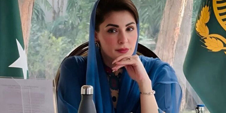 وزیراعلیٰ پنجاب کا عید الاضحیٰ پر فول پروف سکیورٹی انتظامات کا حکم