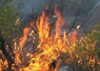 مالاکنڈ: باٹا کے پہاڑی سلسلے میں لگی آگ پر تیسرے روز بھی قابو نہ پایا جا سکا