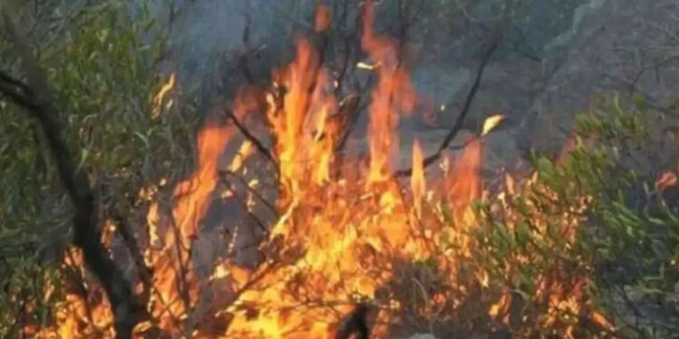 مالاکنڈ: باٹا کے پہاڑی سلسلے میں لگی آگ پر تیسرے روز بھی قابو نہ پایا جا سکا