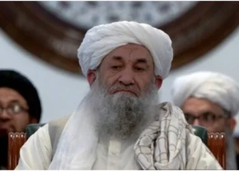 افغانستان: ملک چھوڑنے والے واپس آجائیں انہیں کچھ نہیں کہا جائیگا، طالبان کا اعلان