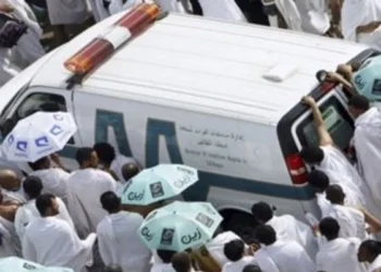 رواں سال حج کے دوران کتنے پاکستانی وفات پاگئے؟