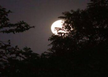 شمالی نصف کرے میں سال کا طویل ترین دن، ملک بھر میں موسم خوشگوار