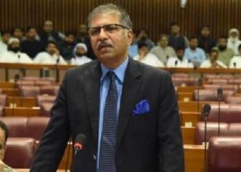 موجودہ حکومت نے معیشت کو نچوڑ دیا ہے: علی ظفر