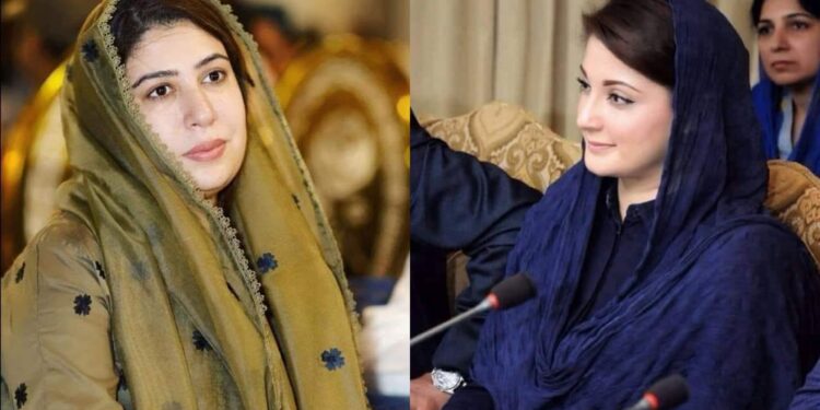 عیدالاضحی پر لیہ میں صفائی کے مثالی اقدامات