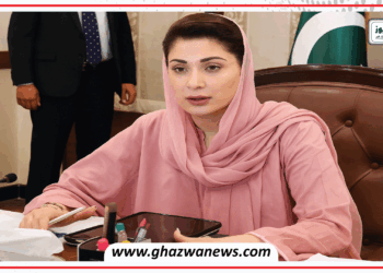 نظامِ پارلیمان ریاست کی اصل طاقت ہے: وزیراعلٰی پنجاب مریم نواز