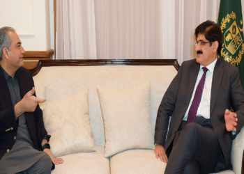 محسن نقوی کی مراد علی شاہ سے ملاقات، سندھ میں کرکٹ کے فروغ پر تبادلہ خیال