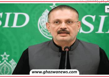 پیپلز پارٹی حکومت میں شامل ہونے پر غور نہیں کر رہی: شرجیل میمن