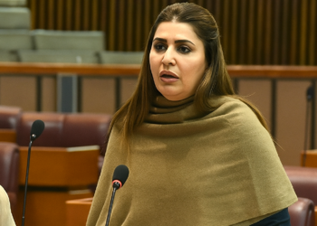 حکومت کی سپورٹ کا مطلب یہ نہیں ہم اس بجٹ کا حصہ ہیں: شازیہ مری