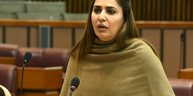 حکومت کی سپورٹ کا مطلب یہ نہیں ہم اس بجٹ کا حصہ ہیں: شازیہ مری