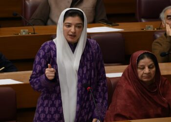 بلاول نے مشکل وقت میں پاکستان کی دنیا میں نمائندگی کی: آصفہ بھٹو