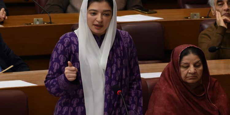 بلاول نے مشکل وقت میں پاکستان کی دنیا میں نمائندگی کی: آصفہ بھٹو