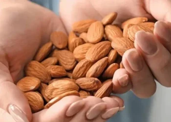 روزانہ کچھ مقدار میں بادام کھانے کا بہترین فائدہ دریافت