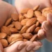روزانہ کچھ مقدار میں بادام کھانے کا بہترین فائدہ دریافت