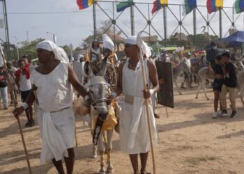 کولمبیا میں گدھوں کو خراج تحسین پیش کرنے کےلیے منفرد تہوار کا انعقاد