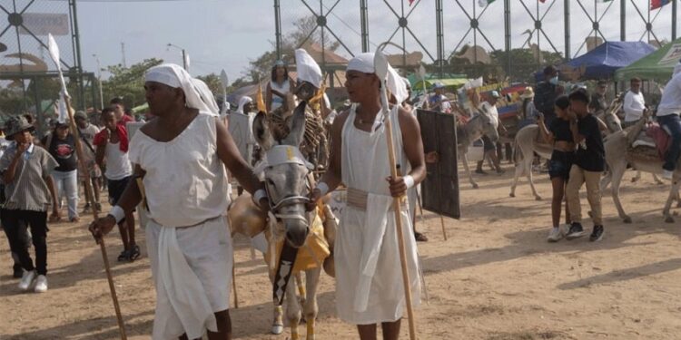 کولمبیا میں گدھوں کو خراج تحسین پیش کرنے کےلیے منفرد تہوار کا انعقاد