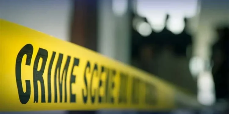 لکی مروت: نامعلوم افراد کی فائرنگ سے امن کمیٹی کا رکن ساتھیوں سمیت قتل