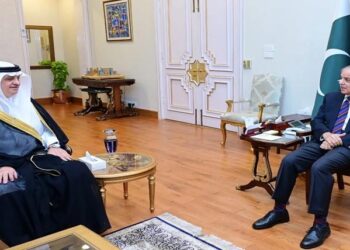 وزیراعظم شہباز شریف کی سعودی، قطری سفرا سے ملاقاتیں، یکجہتی کا اظہار کیا