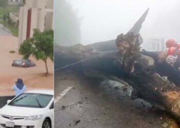 مری، پنڈی اور اسلام آباد میں شدید بارشوں سے درخت گرپڑے، پانی گھروں میں داخل