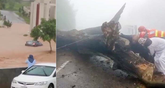 مری، پنڈی اور اسلام آباد میں شدید بارشوں سے درخت گرپڑے، پانی گھروں میں داخل