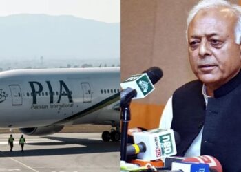 پاکستانی پائلٹوں سے متعلق پی ٹی آئی وزیر کے بیان سے 200 ارب کا نقصان ہوا، احتساب ہوا نا سزا ملی
