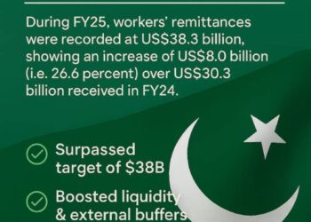 وزارتِ خزانہ پاکستان کا چین میں پانڈا بانڈ کے اجراء سے قبل نان ڈیل روڈ شو کا آغاز