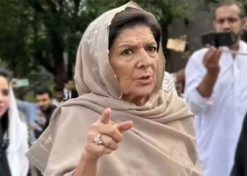 عمران خان کا کیس صرف 30 سیکنڈ کیلئے سنا گیا: علیمہ خان