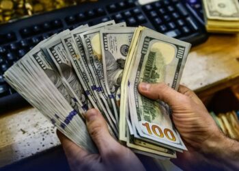 پاکستان بزنس فورم کا وزیراعظم سے ڈالر کو فوری کنٹرول کرنے کا مطالبہ