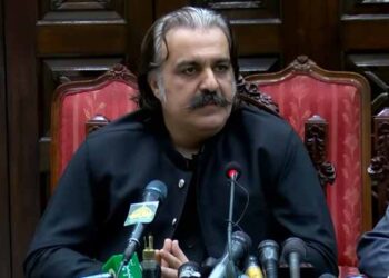 بجٹ پیش نہ کرنے کا پروپیگنڈا اپنوں کا تھا، اس سے ہماری حکومت چلی جاتی: علی امین