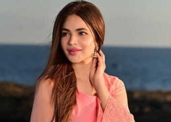 شیر افضل مروت کے علیمہ خان سمیت دیگر پارٹی رہنماؤں پر الزامات