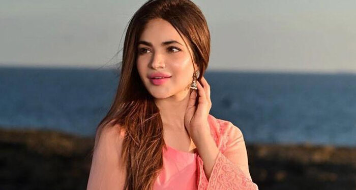 شیر افضل مروت کے علیمہ خان سمیت دیگر پارٹی رہنماؤں پر الزامات